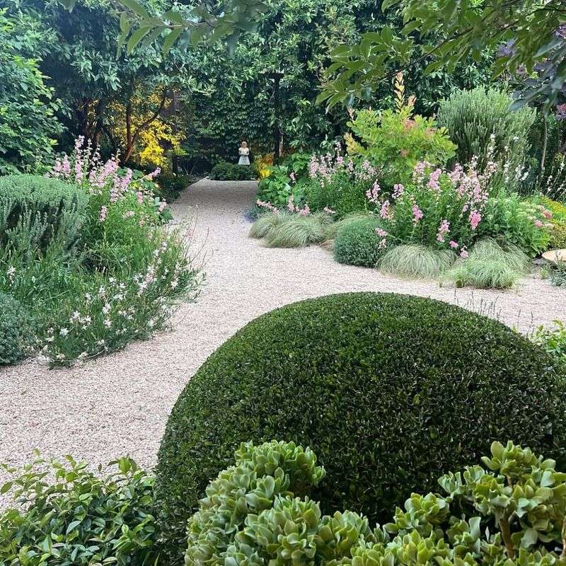 Native Plants That Thrive Without Fuss