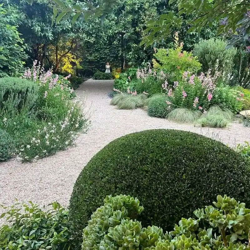 Native Plants That Thrive Without Fuss