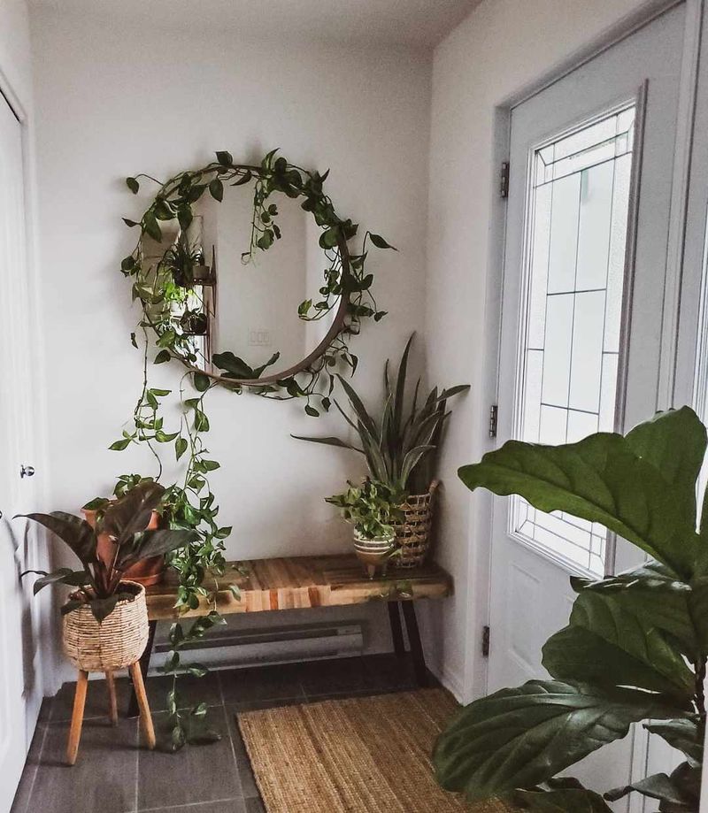 Add a Mirror Behind Plants