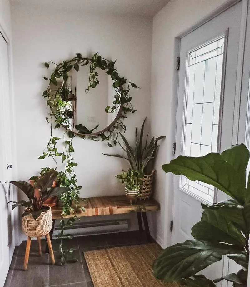 Add a Mirror Behind Plants