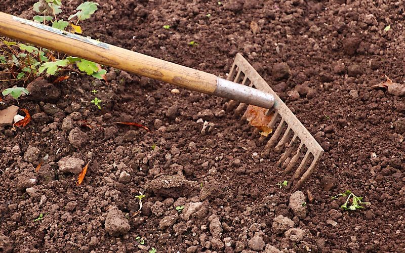 Aerating the Soil