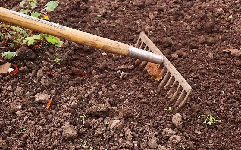 Aerating the Soil