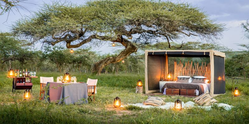 African Safari Corner