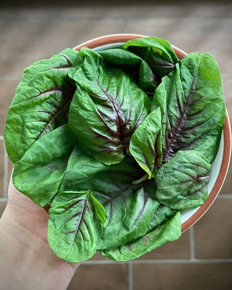 Amaranth Greens