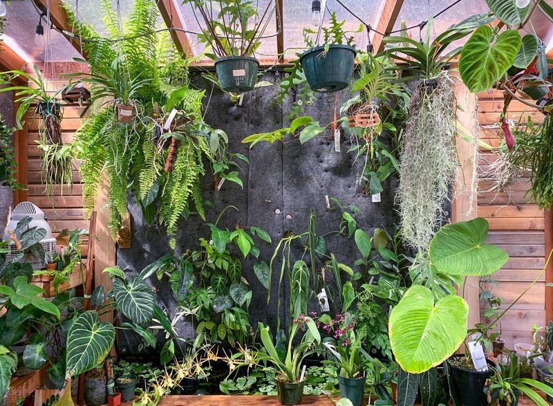 Aquaponics
