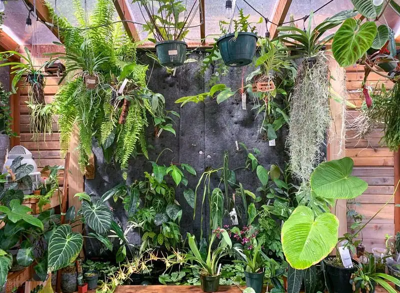 Aquaponics