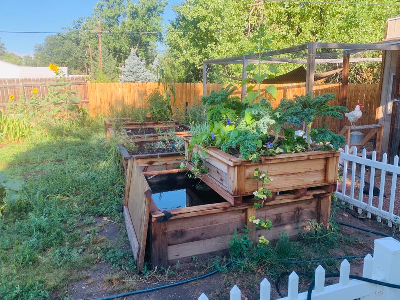 Aquaponics System