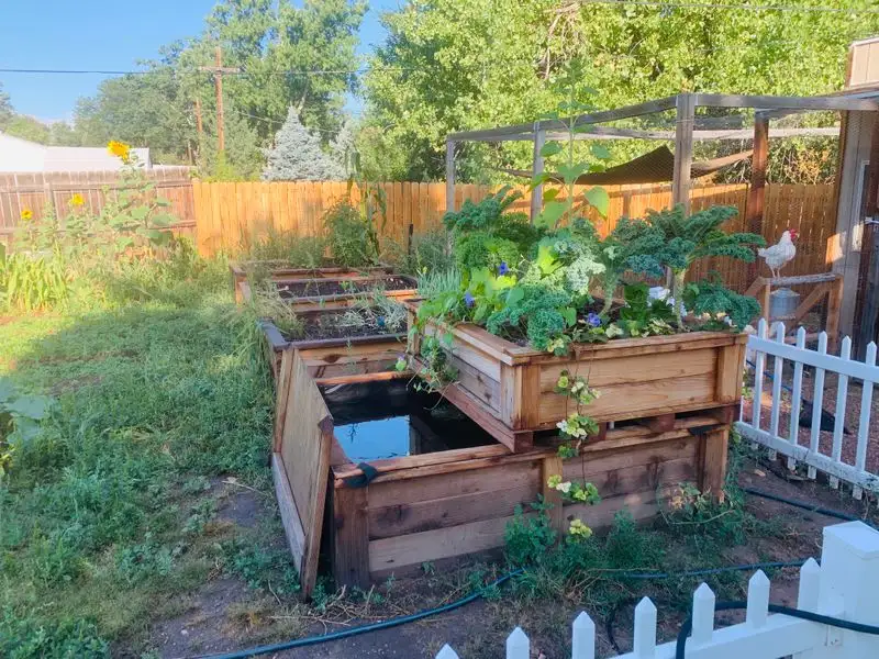 Aquaponics System