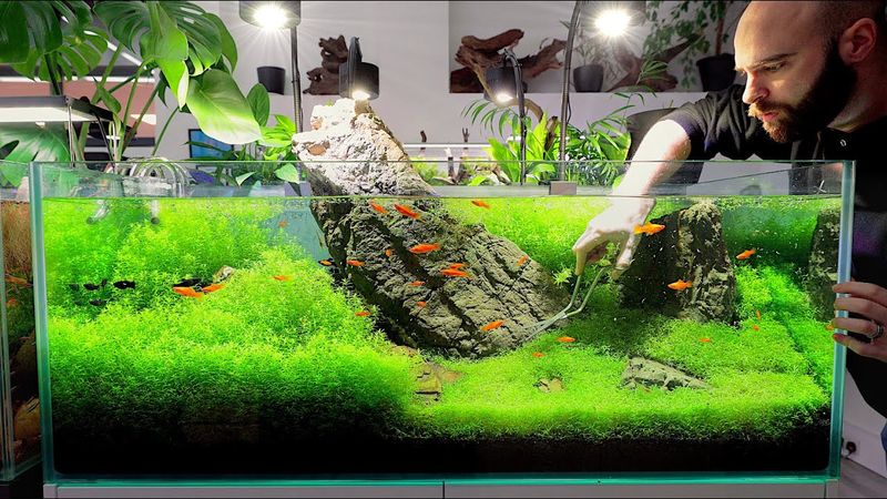 Aquarium Water