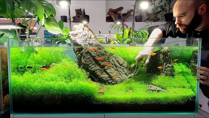 Aquarium Water