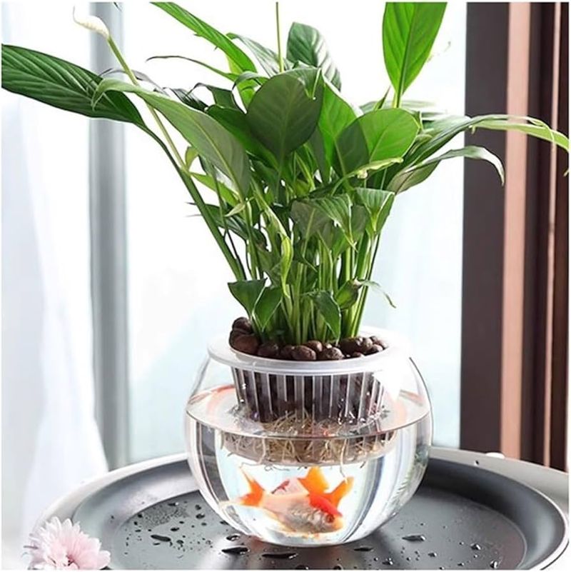 Aquatic Plant Vases