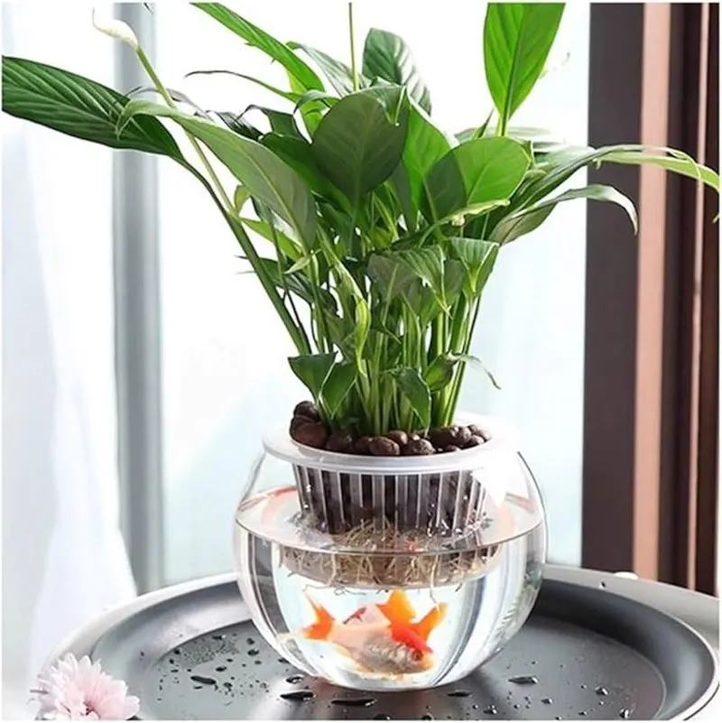 Aquatic Plant Vases
