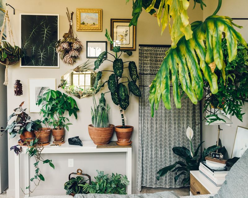 Artistic Plant Wall