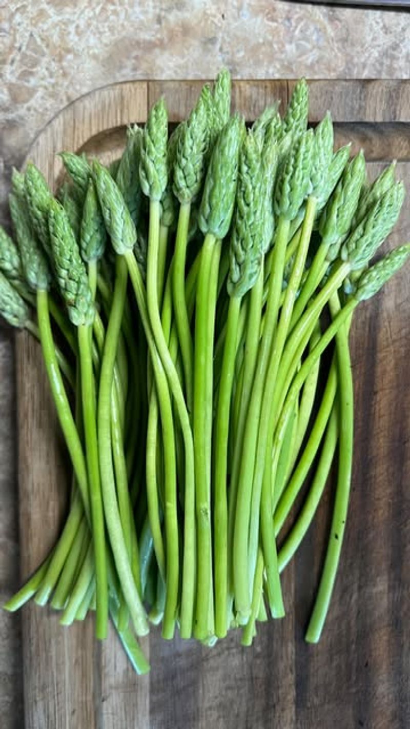 Asparagus