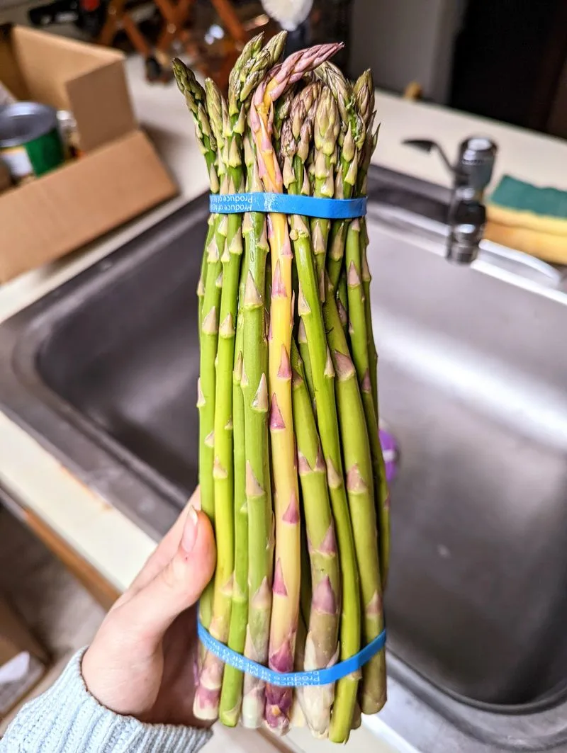 Asparagus