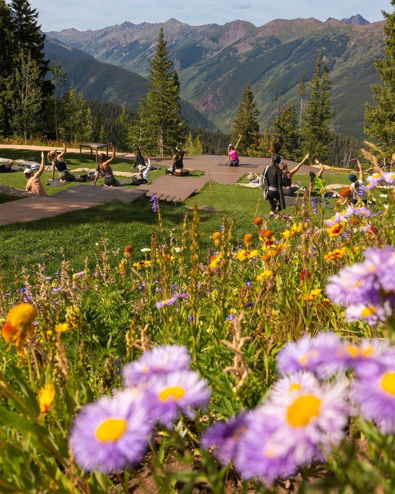 Aspen
