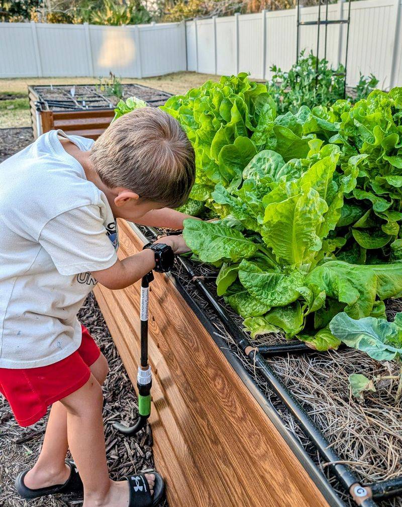 Automatic Irrigation Systems