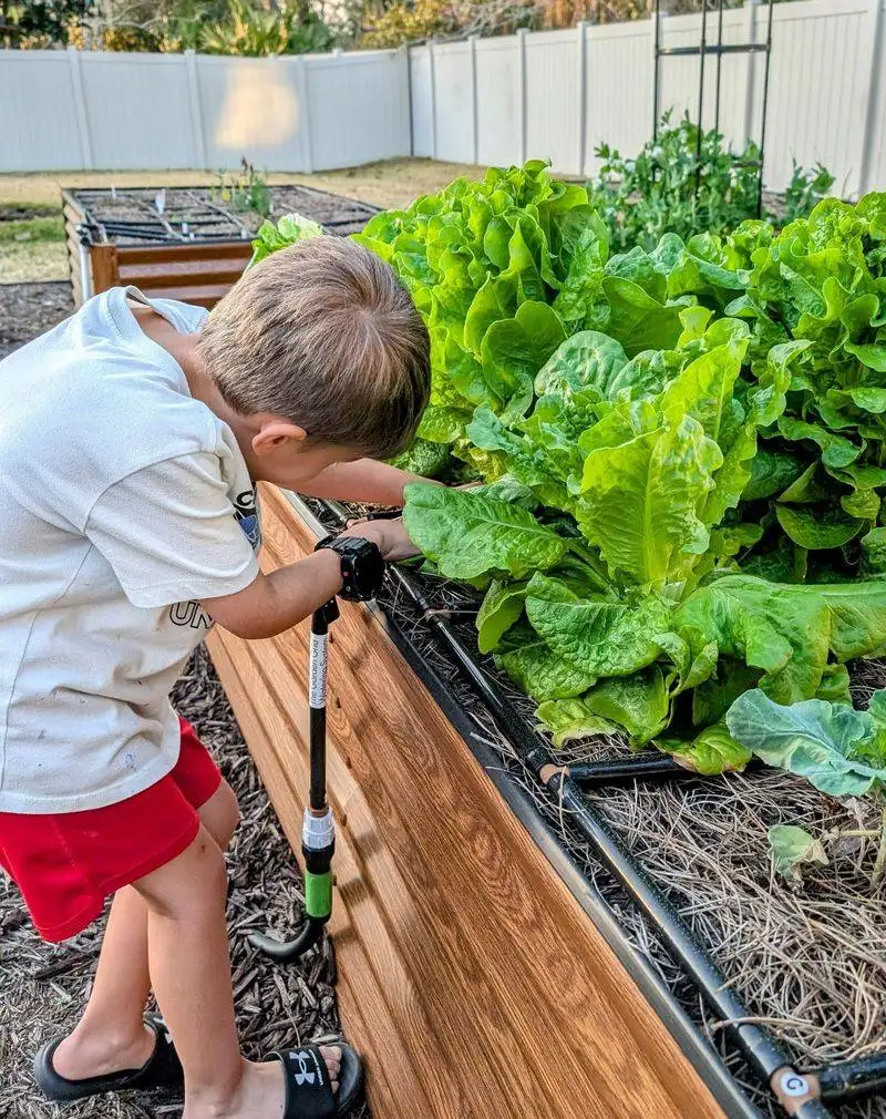 Automatic Irrigation Systems