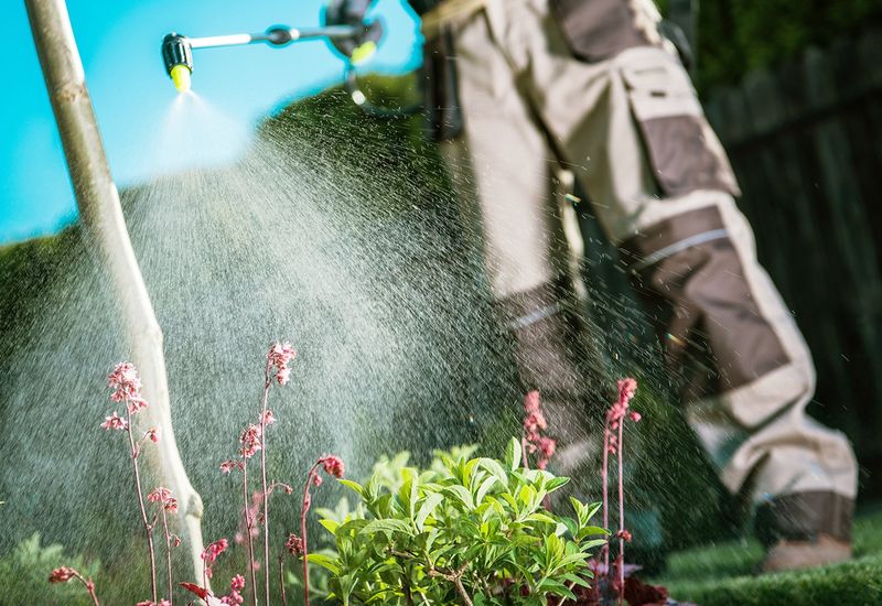 Avoid Lawn Chemicals