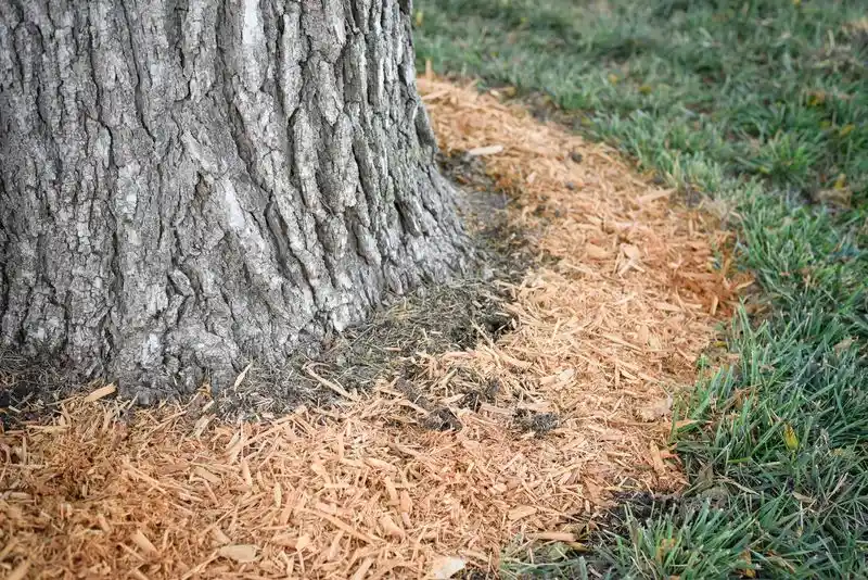 Avoiding Mulch