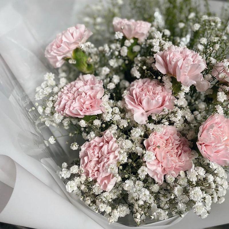 Baby's Breath