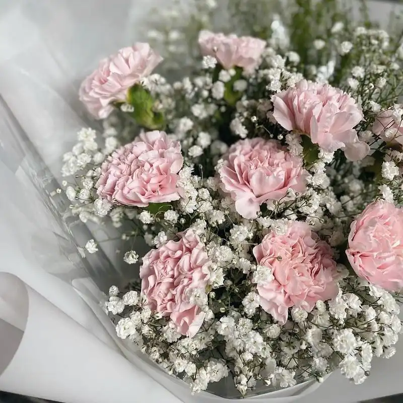 Baby's Breath