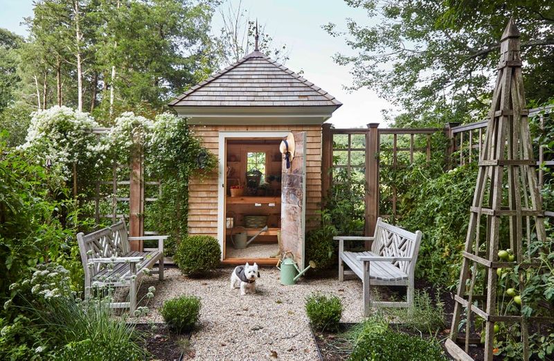 Backyard Herbal Haven