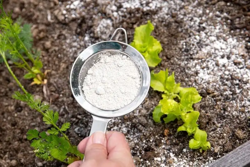 Baking Soda Mildew Treatment