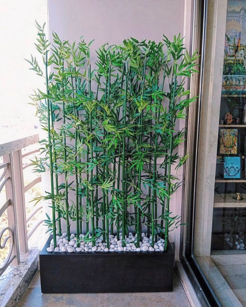 Bamboo