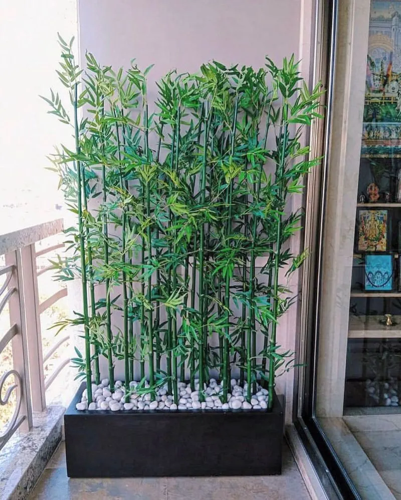 Bamboo