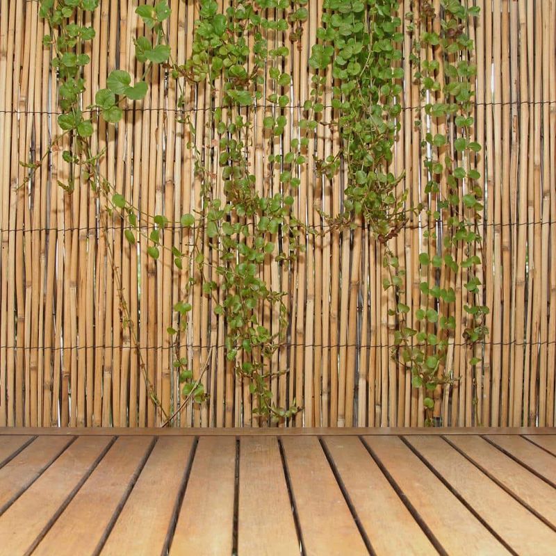 Bamboo Privacy Screens