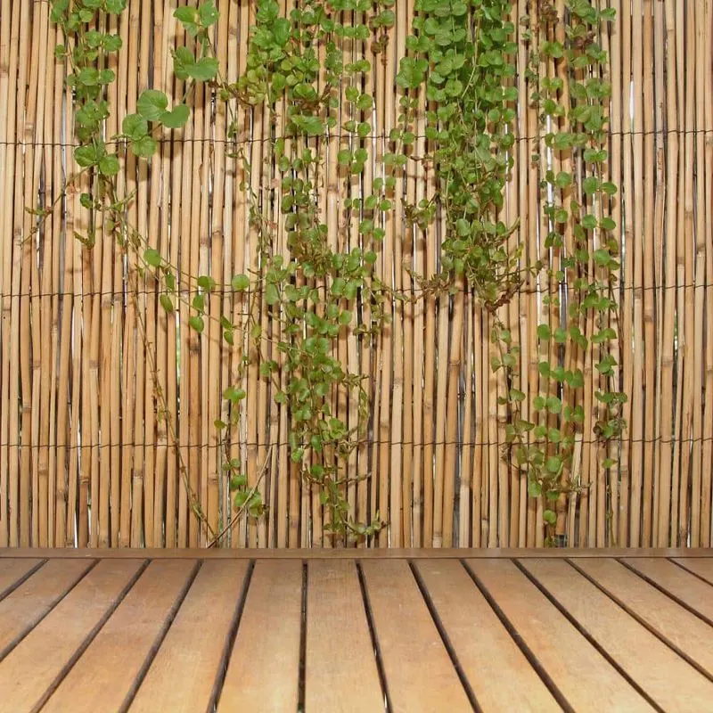 Bamboo Privacy Screens