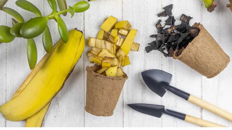 Banana Peels