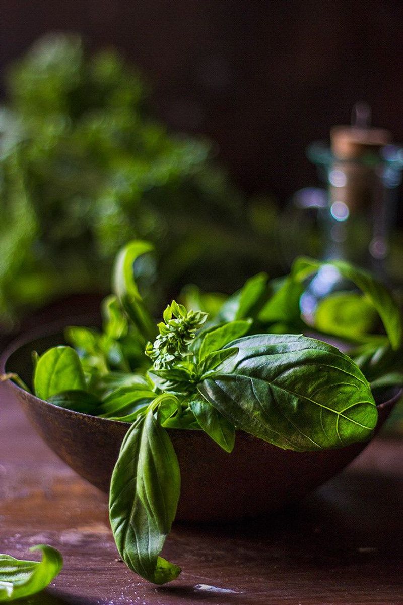Basil