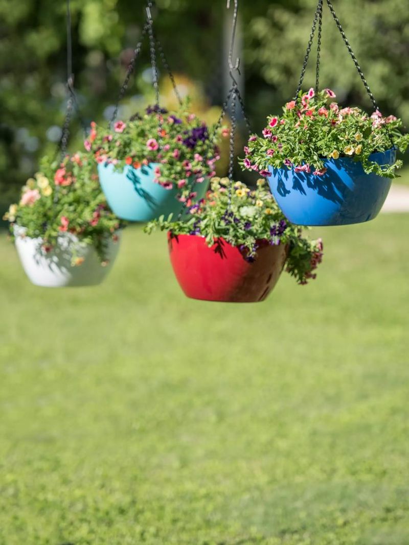 Basket Hanging Planters