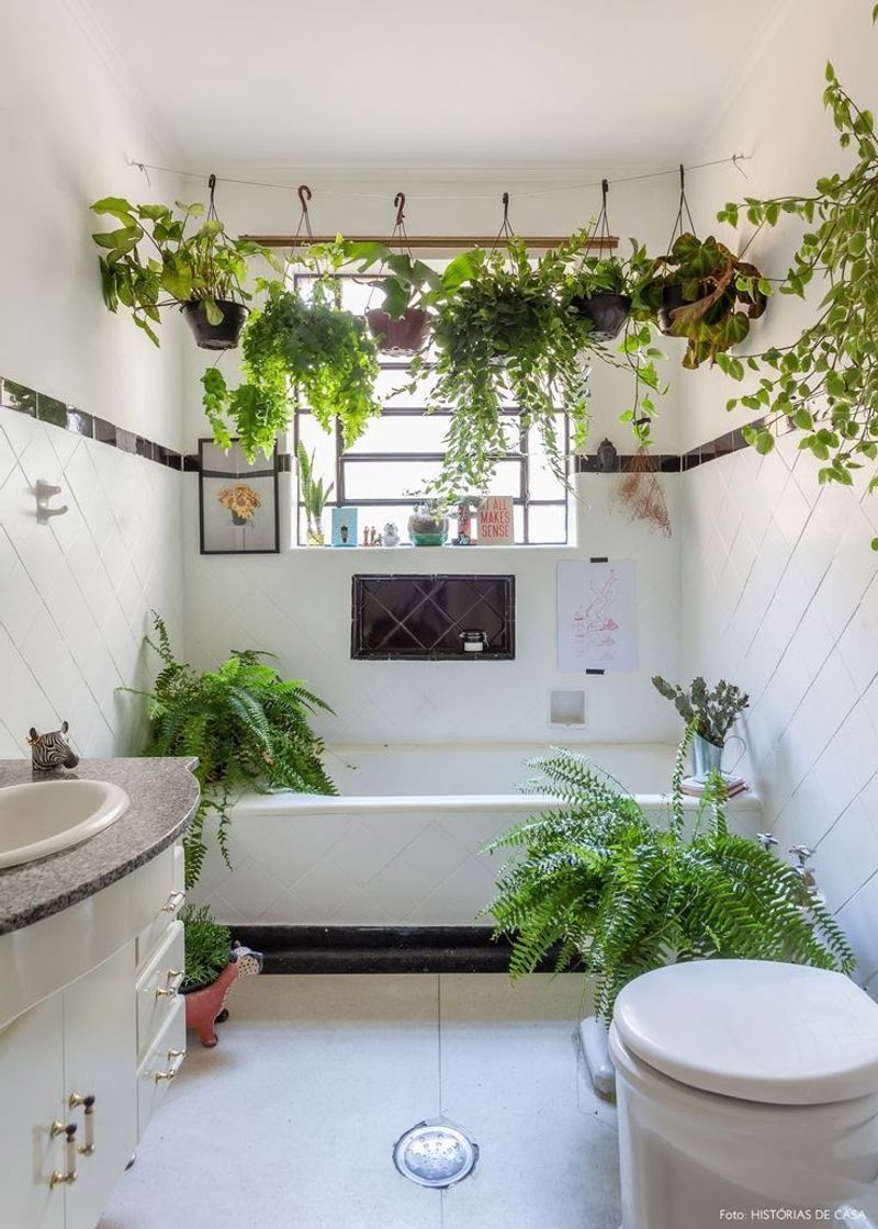Bathroom Hanging Baskets