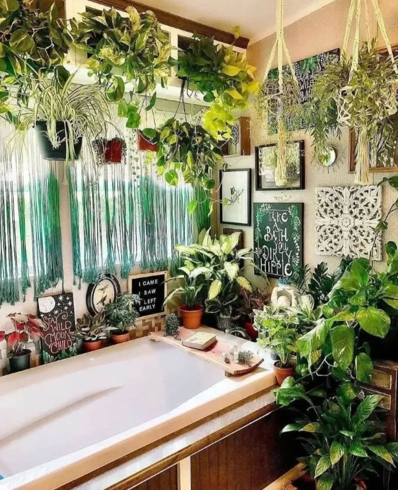 Bathroom Plants