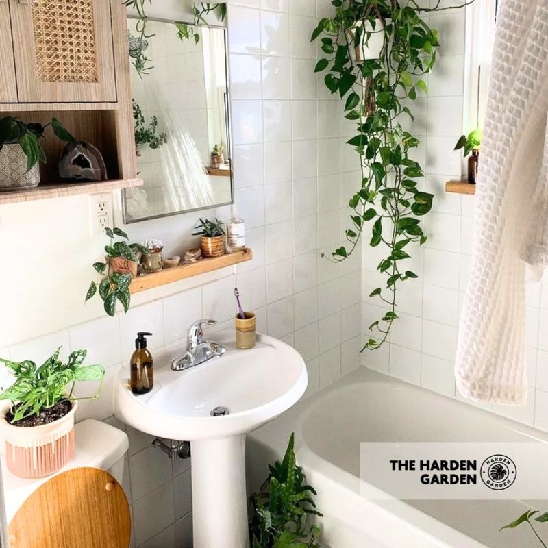Bathroom Sink Shelf