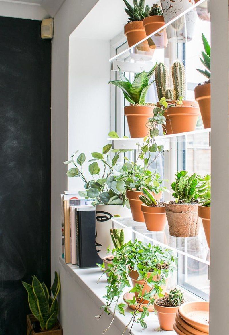 Bedroom Window Ledge