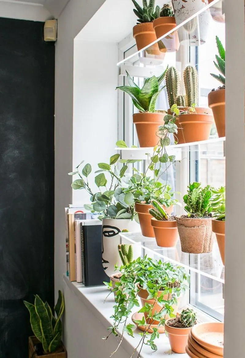 Bedroom Window Ledge