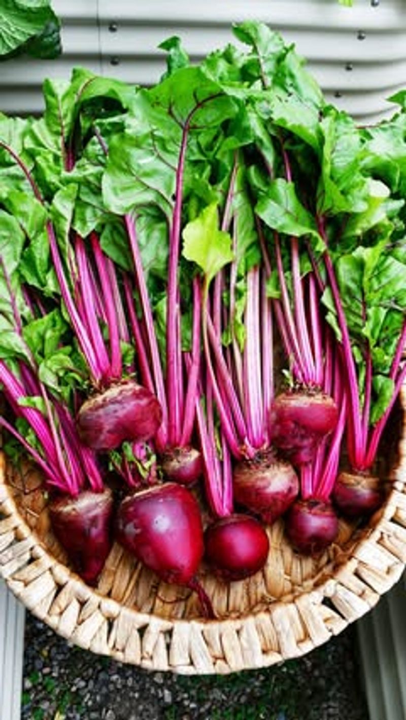 Beetroot