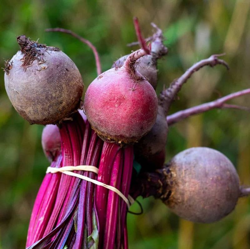 Beets