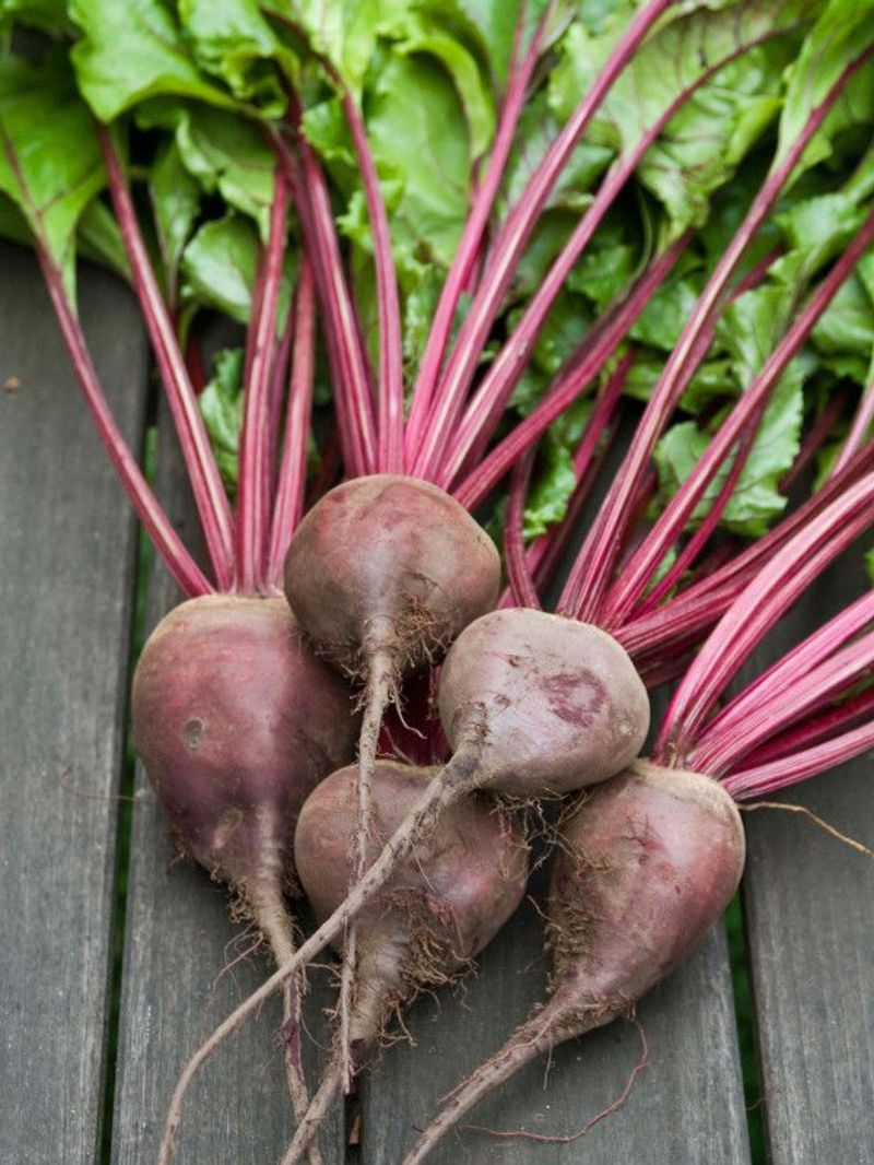 Beets