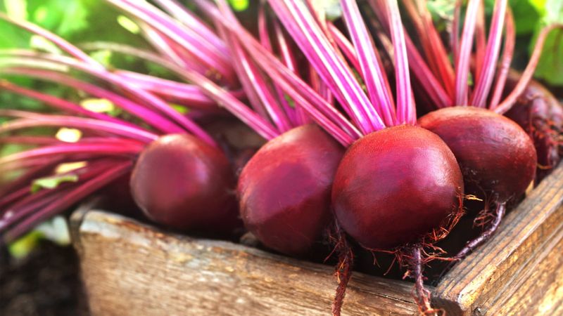Beets (Won't Regrow)