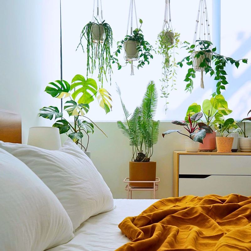 Better Sleep Quality