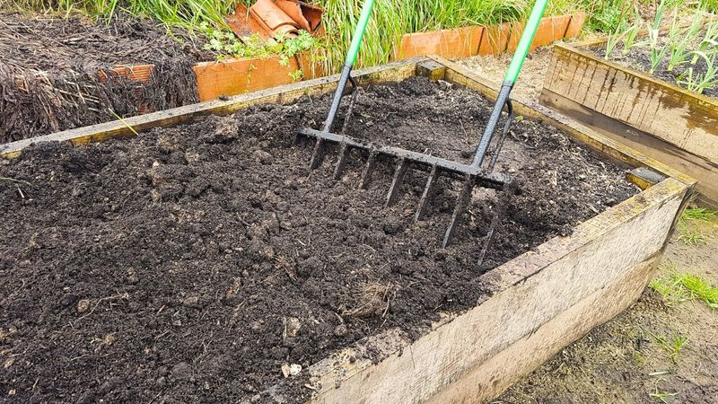 Raised Beds