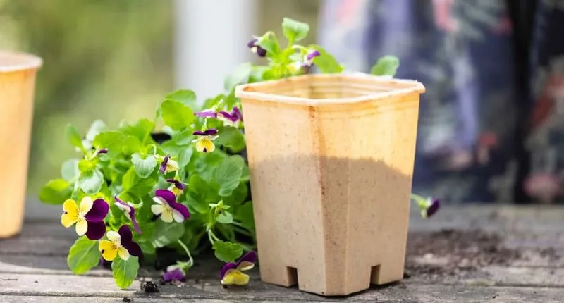 Biodegradability