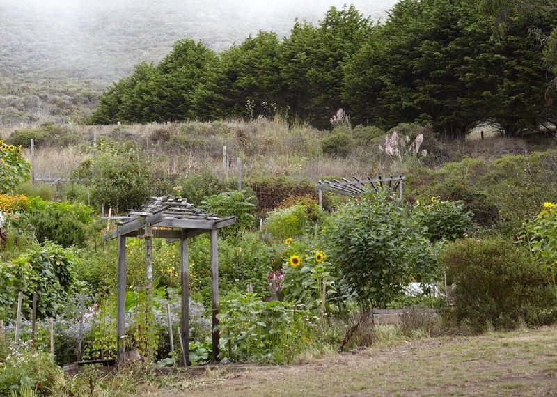 Biodynamic Gardening