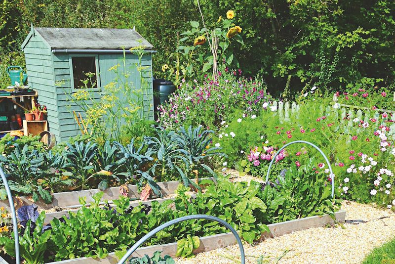Biodynamic Gardening