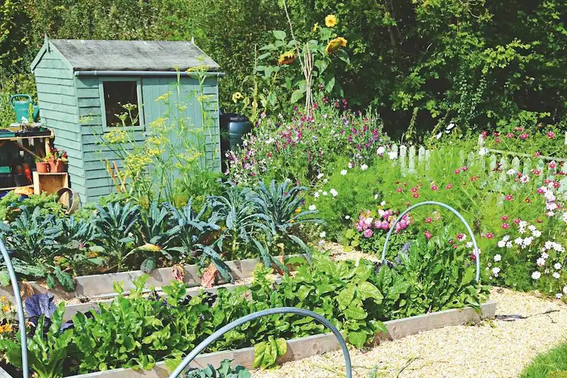 Biodynamic Gardening